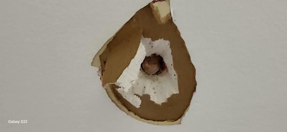 A bullet went through the drywall of Tiffany Holland's home.