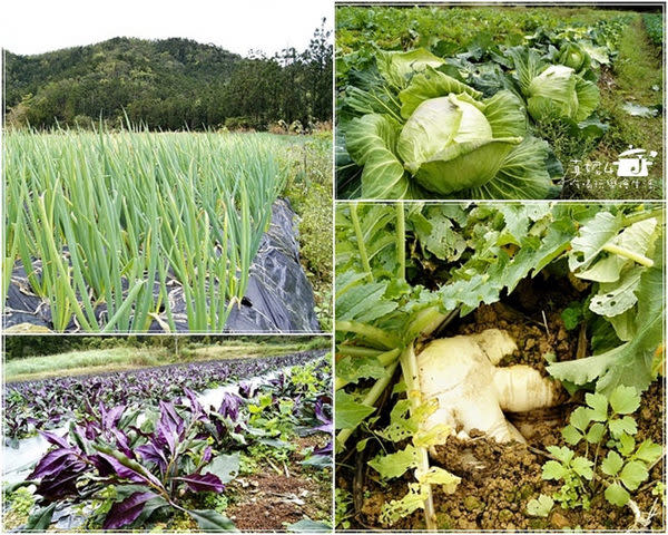 宜蘭縣員山鄉 野夫炊煙