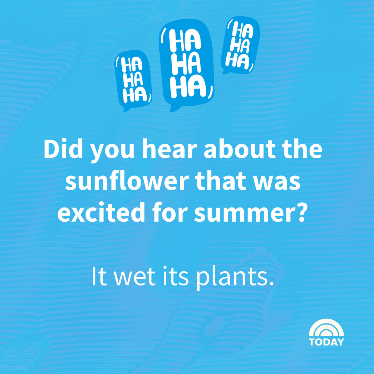 Summer Jokes