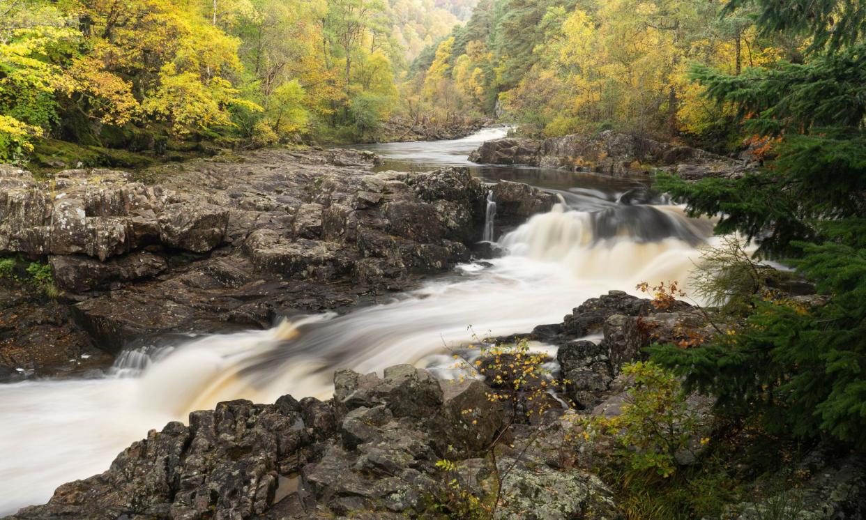 <span>The accident happened at the Linn of Tummel waterfall in Perthshire.</span><span>Photograph: Richard Childs Photography/Alamy</span>