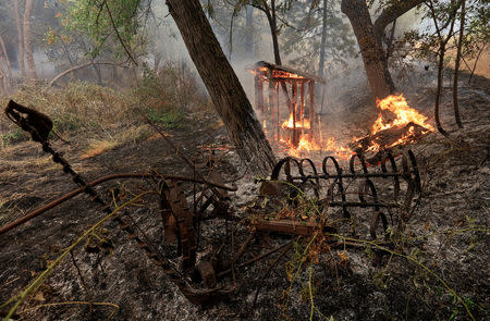 A wooden structure burns on the south edge of the Carr Fire near Igo, California, U.S. July 29, 2018. REUTERS/Bob Strong