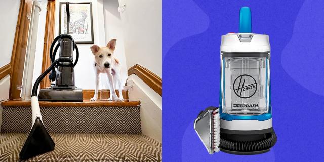 The Best Carpet Cleaners For Pets