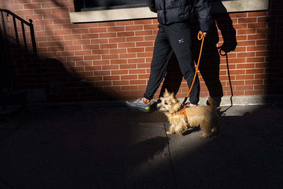 Bethany Lane, fundadora de Whistle & Wag, un servicio de paseos caninos, pasea a un perro por Manhattan, el 16 de enero de 2023. (Calla Kessler/The New York Times)
