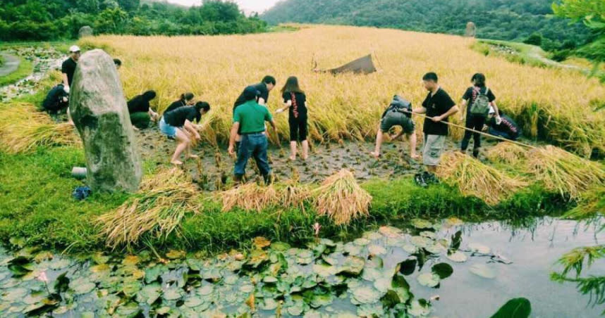 新北石門嵩山社區提供一日農人體驗，吸引民眾親近農村。（圖／新北農業局提供）