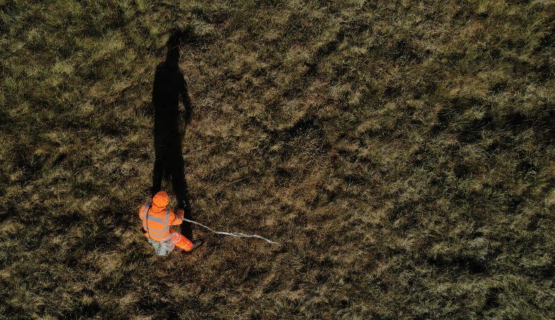 A contractor walks across moorland whilst planting Sphagnum Moss as part of a conservation project on Black Ashop moor near Glossop