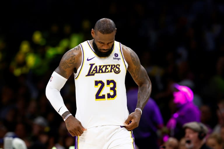 LeBron James, la star des Lakers de Los Angeles, lors du quatrième match du premier tour des séries éliminatoires de la Conférence Ouest contre les Denver Nuggets, le 27 avril 2024, à Los Angeles (RONALD MARTINEZ)