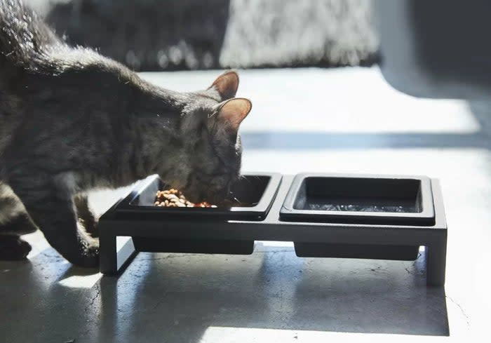 A cat eating from the two-bowl pet feeder placed on the floor