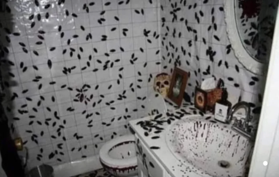 Roaches all over someone's bathroom