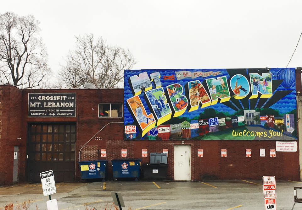 Pennsylvania's 18th District is geographically diverse. It includes affluent suburbs south of Pittsburgh like Mt. Lebanon, pictured here, as well as rural areas and old mill towns.