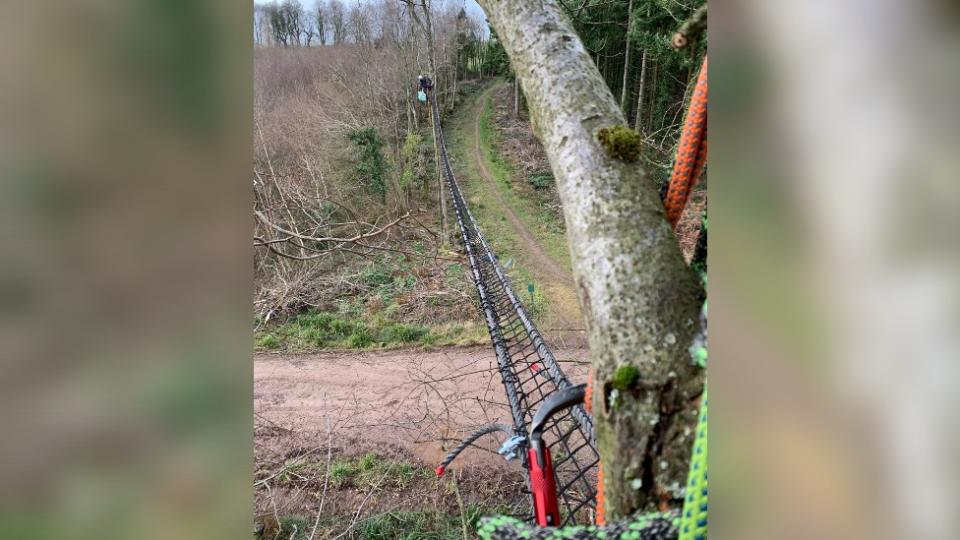 A rope bridge for Dormice bring attached between trees over the wood