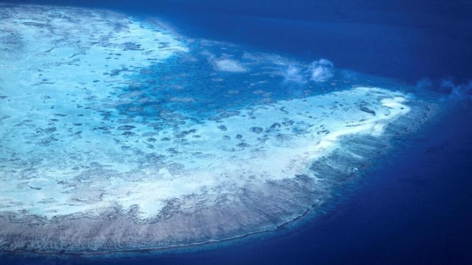 Australia's Great Barrier Reef experiencing worst bleaching on record