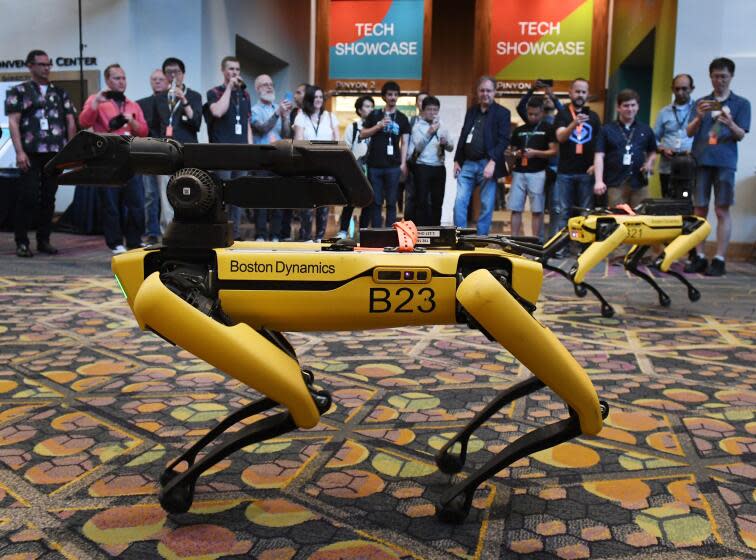 Robotic dogs called Spot and built by Boston Dynamics are demonstrated during the Amazon Re:MARS conference on robotics and artificial intelligence at the Aria Hotel in Las Vegas, Nevada on June 4, 2019. (Photo by Mark RALSTON / AFP) (Photo credit should read MARK RALSTON/AFP via Getty Images)