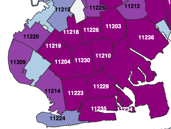 South Brooklyn has one of the highest concentrations of positive coronavirus cases in New York City. The purple shade shared by 11219 and other neighborhoods represents between 306 and 947 confirmed cases per zip code. (Courtesy of New York City Health Department)