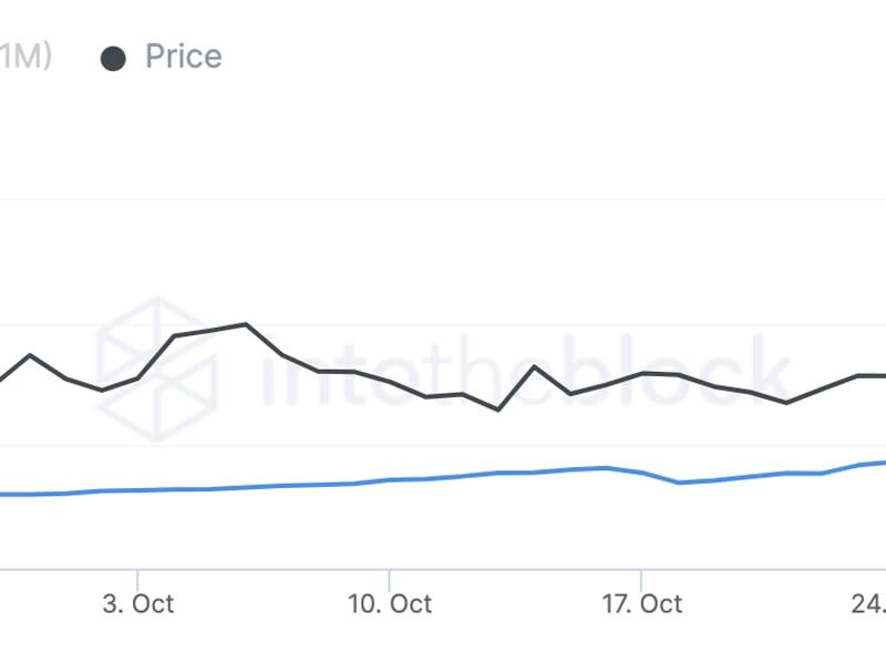 On-chain data shows bitcoin long-term holders increased their BTC holdings since the FTX collapse. (IntoTheBlock)