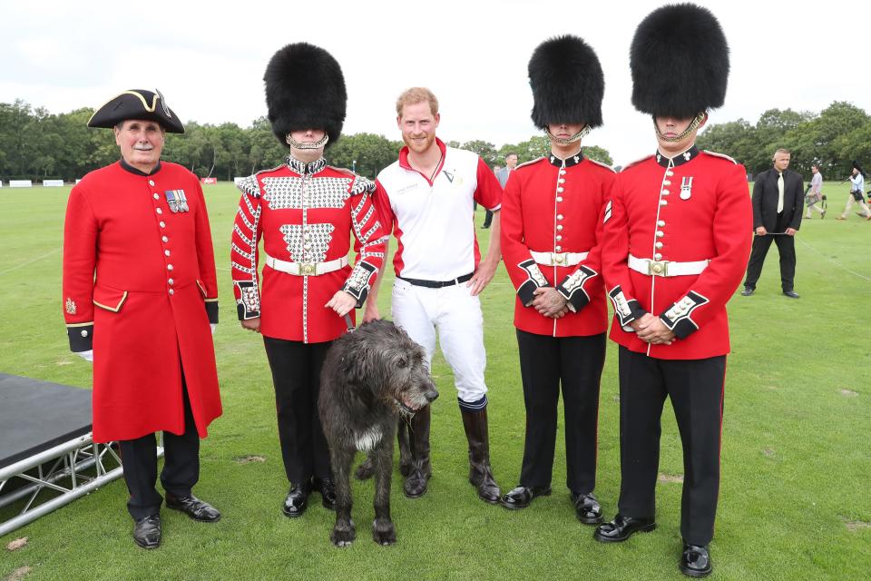 Prince Harry made sure to pose with some guards...and a big dog!