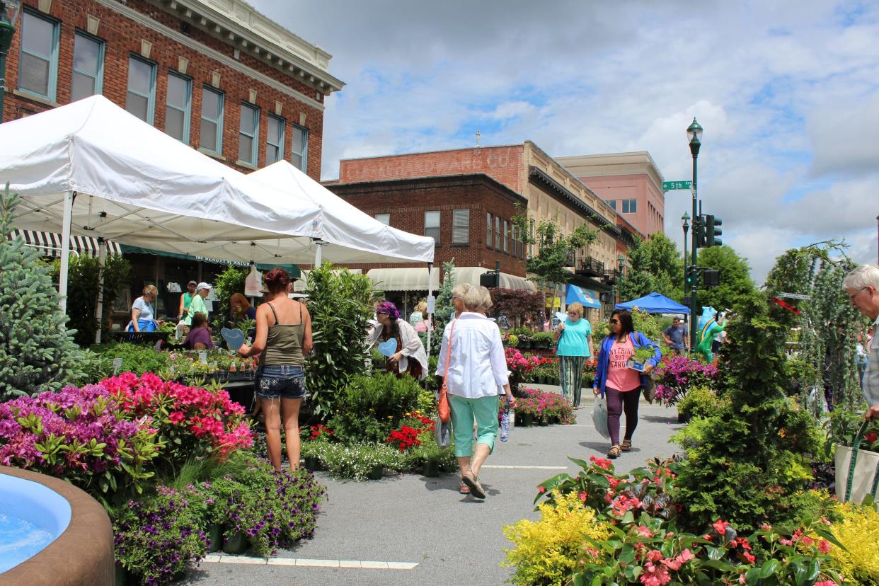 People shop for plants at a past Garden Jubilee in downtown Hendersonville.