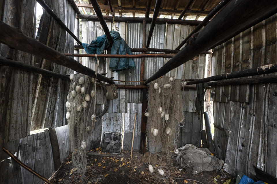 Unused salmon nets hang in the Stevens' empty smokehouse, which would normally be filled with salmon this time of year, on Wednesday, Sept. 15, 2021, in Stevens Village, Alaska. Two salmon species have all but disappeared from Alaska's Yukon River this year, prompting the state to shut down fishing in an effort to save them. (AP Photo/Nathan Howard)