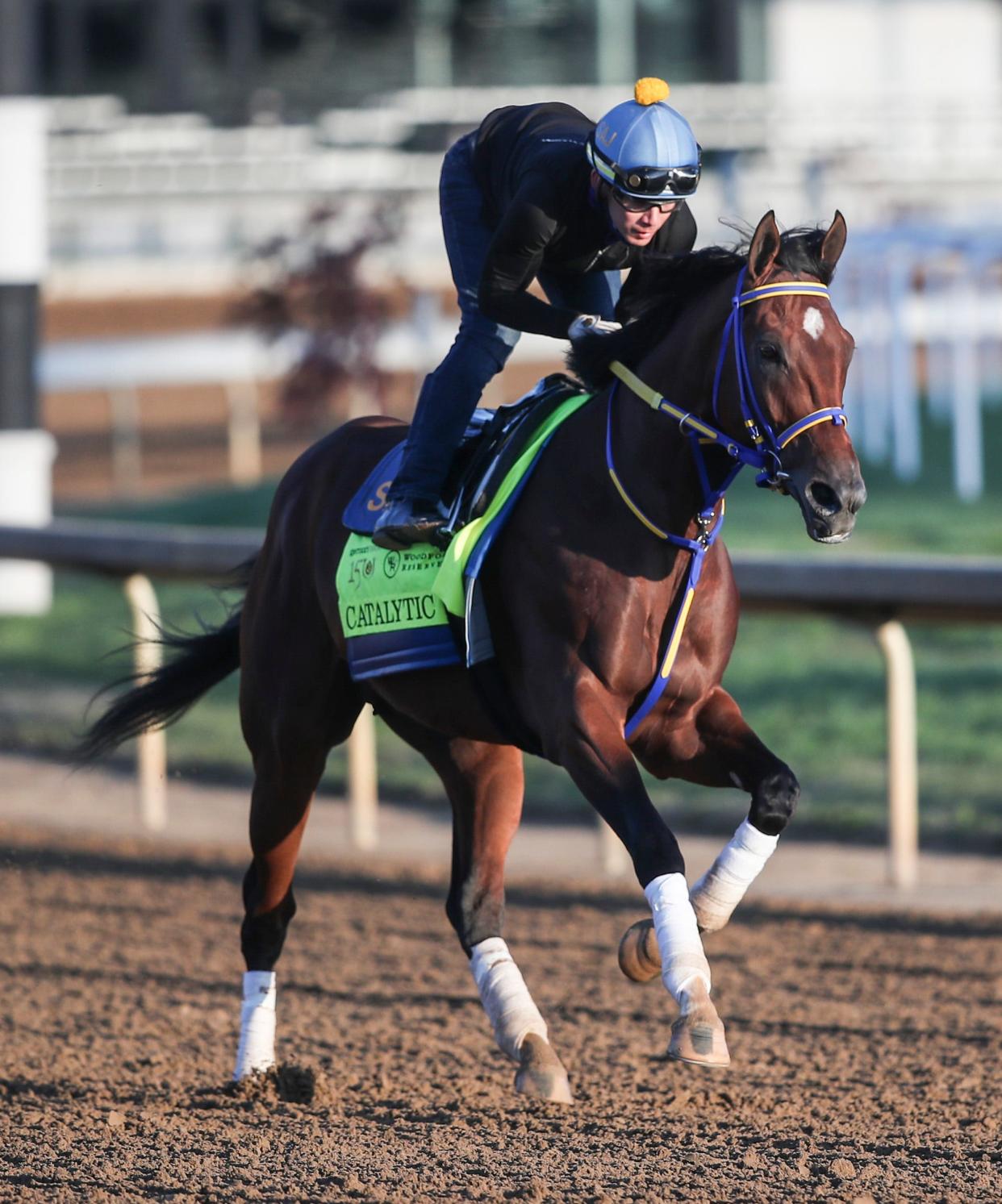 2024 Kentucky Derby contender Catalytic trains Thursday morning at Churchill Downs April 25, 2024 in Louisville, Ky. Trainer is Saffie Joseph, Jr. Owner is Tami Bobo, Julie Davies and George Isaacs.