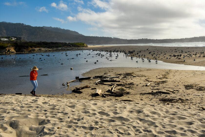 Carmel River State Beach.