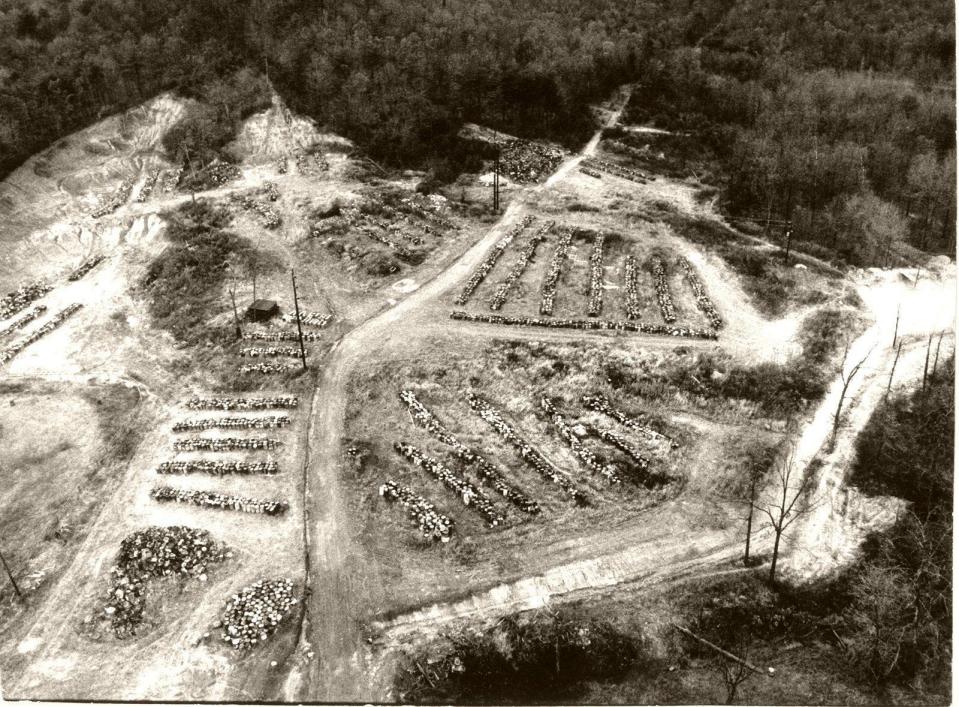 17,000 drums at the Valley of the Drums toxic dump site in the 1970s.