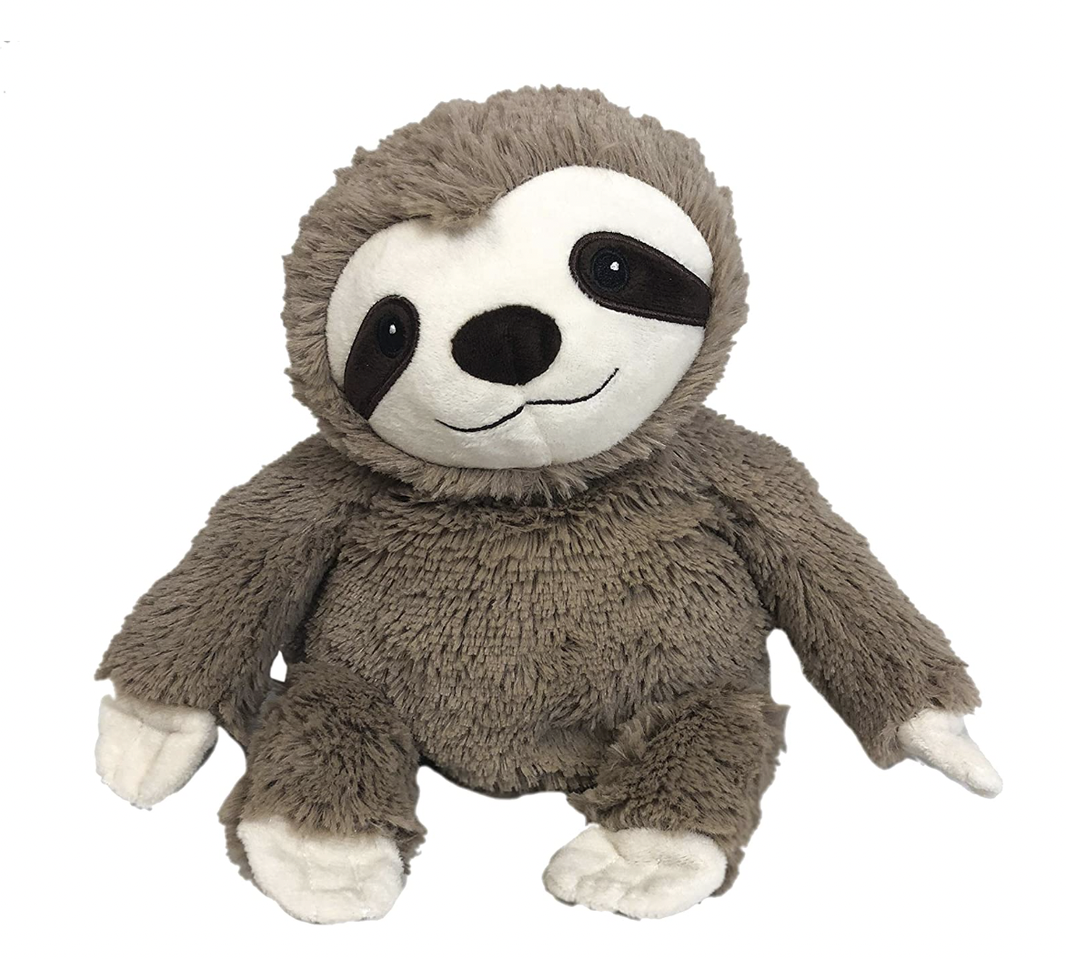 <p><a href="https://go.redirectingat.com?id=74968X1596630&url=https%3A%2F%2Fwarmies.com%2Fproducts%2Fweighted-heated-sloth-stuffed-animal-warmies%3Fvariant%3D32740108075096%26g_acctid%3D168-542-6056%26g_adtype%3Dnone%26g_campaign%3D05%252F12%252F2023%2B-%2BPmax%2B-%2BSHP%2B-%2BHigh%2BMargin%2BProducts%2B-%2BtROAS%2B-%2BUS%26g_campaignid%3D20126270313%26g_network%3Dx%26gclid%3DEAIaIQobChMI8uHE9-qyggMVEnh9Ch2j8QXxEAQYAyABEgJMQfD_BwE&sref=https%3A%2F%2Fwww.thepioneerwoman.com%2Fholidays-celebrations%2Fgifts%2Fg44774481%2Fbest-gifts-for-teens%2F" rel="nofollow noopener" target="_blank" data-ylk="slk:Shop Now;elm:context_link;itc:0;sec:content-canvas" class="link rapid-noclick-resp">Shop Now</a></p><p>Warmies Microwavable French Lavender Scented Plush Sloth</p><p>warmies.com</p><p>$29.99</p><span class="copyright">Warmies</span>