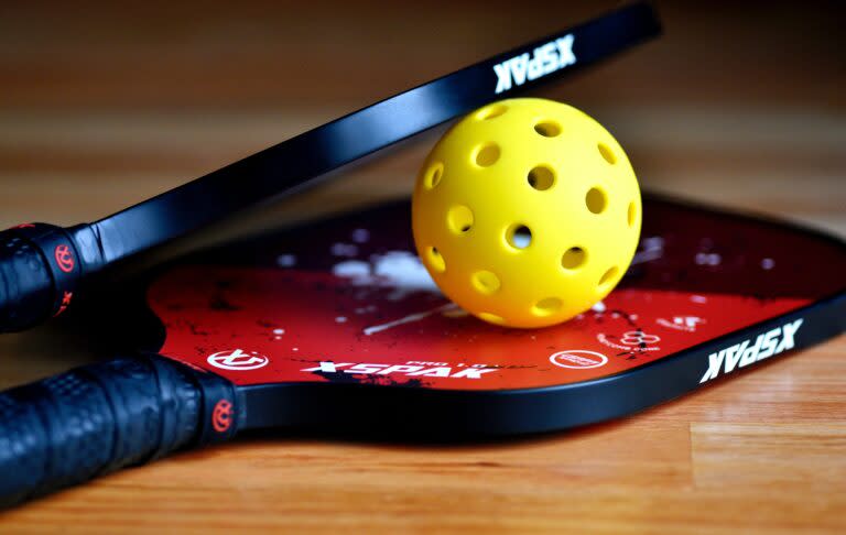 Top 15 Pickleball Companies and Brands READY FOR IAN