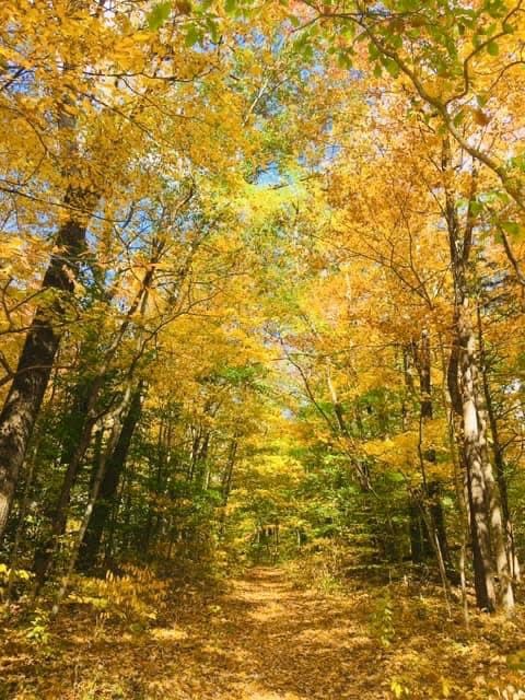 Fall at McCormick’s Creek State park