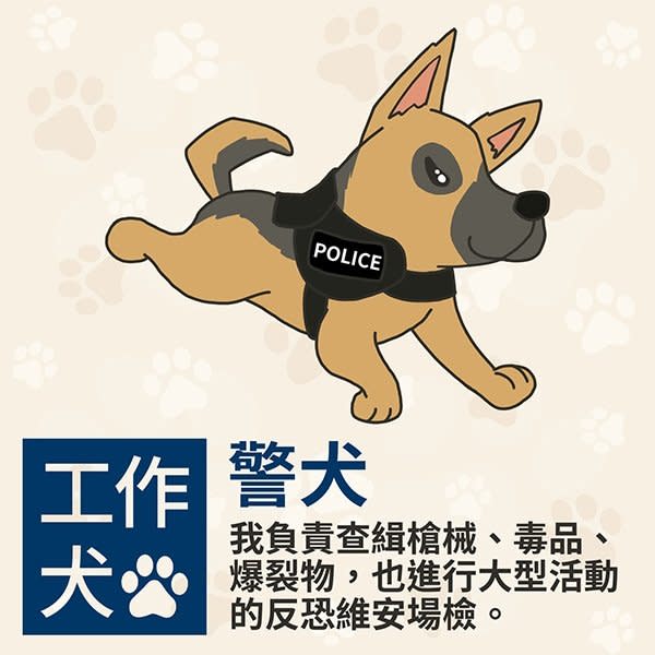 不只是毛小孩　除了警犬、導盲犬還有這些工作犬都是超級好幫手