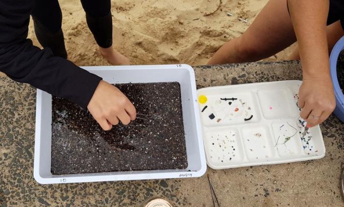 FILE PHOTO: Citizen scientists use tweezers to remove microplastics from a sample to a separate container at Manly Cove Beach in Sydney