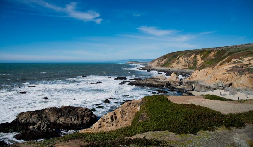 The National Audubon Society has called Bodega Head, near Bodega Bay, one the nation’s top birding spots. Speaking of birds, the towns of Bodega and Bodega Bay are preparing for a pilgrimage of movie buffs and fans for the silver anniversary of the Alfred Hitchcock’s thriller “The Birds.” Photographed Feb. 21, 2013