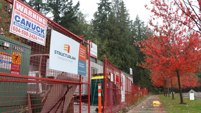 More UBC trees get axed to make way for market housing