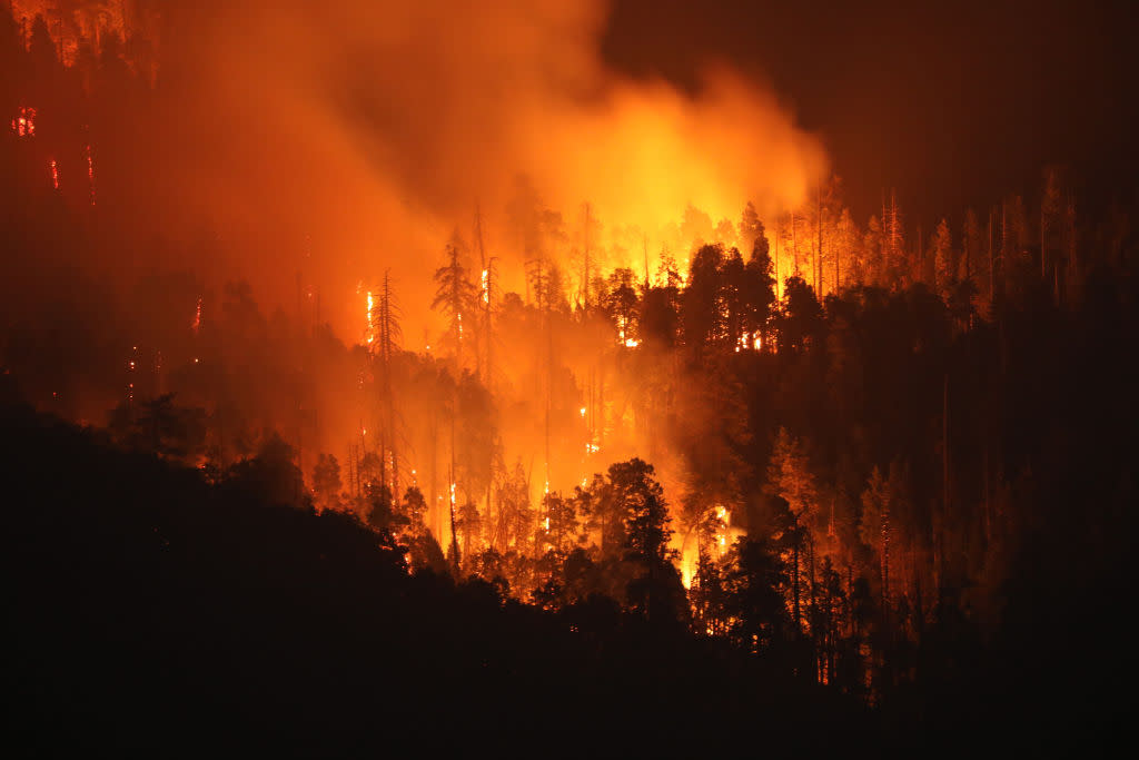 Firefighters Battle California's French Fire