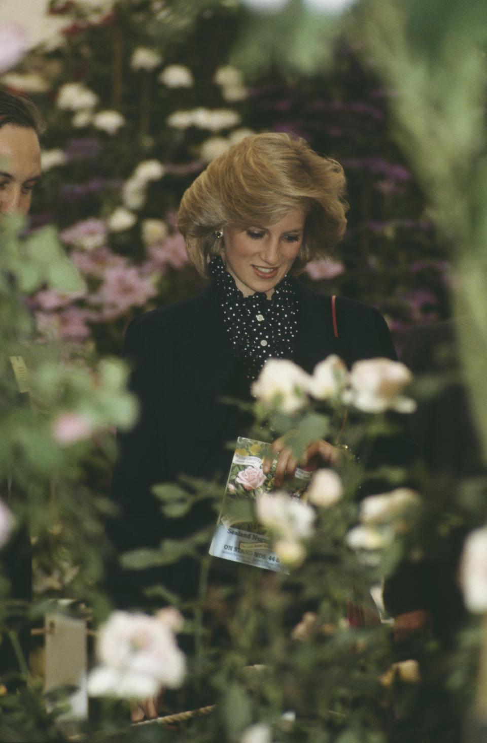 Diana, Princess of Wales  (1961 - 1997) at the Chelsea Flower Show in London, May 1984.   (Photo by Jayne Fincher/Princess Diana Archive/Getty Images)