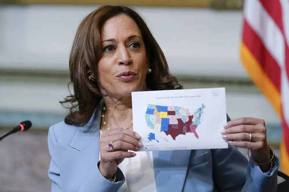 Vice President Kamala Harris displays a map showing abortion access by state as she speaks during the first meeting of the interagency Task Force on Reproductive Healthcare Access in the Indian Treaty Room in the Eisenhower Executive Office Building on the White House Campus in Washington, Aug. 3, 2022. (AP Photo/Susan Walsh, File)