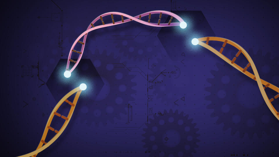 A visualization of CRISPR, which is a family of DNA sequences found in the genomes of bacteria