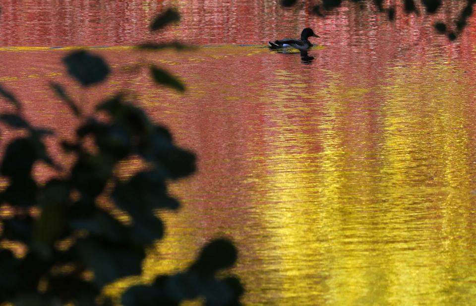 Photos of the day - October 6, 2013