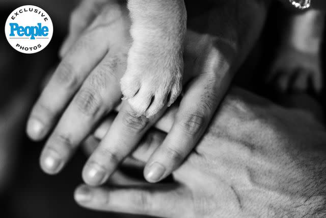 <p>Ford Fairchild</p> Adam Mac, Lee Pfund and their dog Pearl