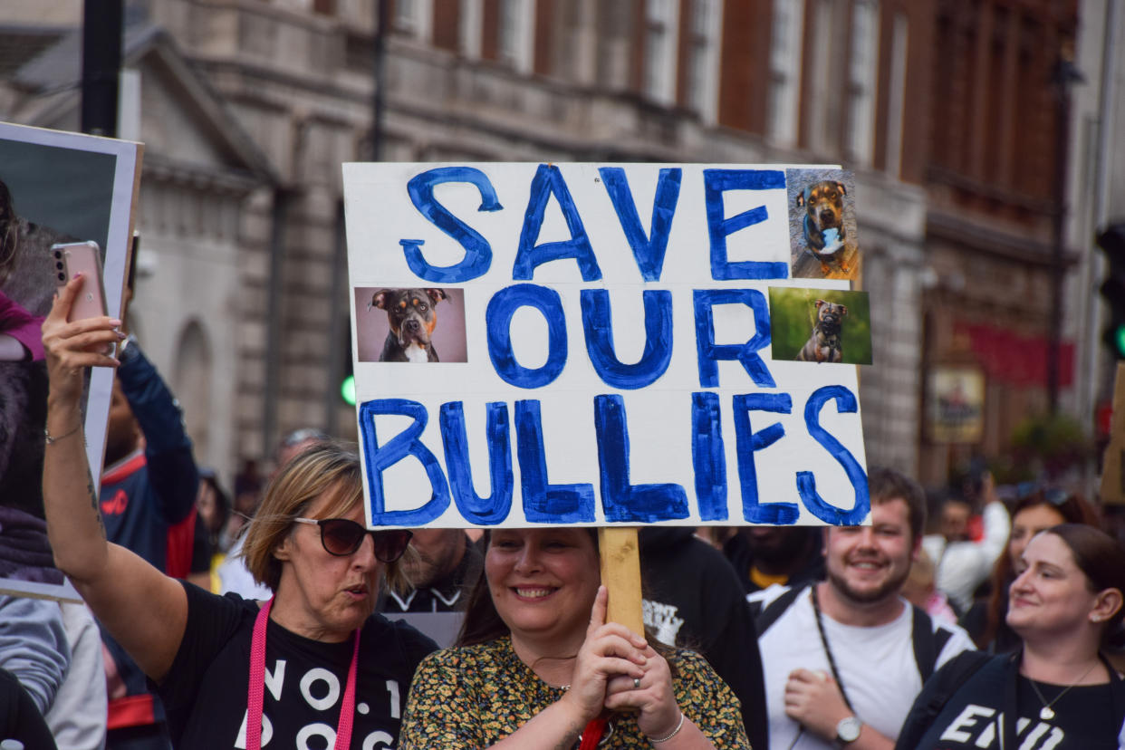 LONDON, UNITED KINGDOM - 2023/09/23: A protester holds a placard which states 'Save our bullies' during the demonstration in Whitehall. Dog owners and supporters marched in Westminster in protest against the American Bully XL ban. The breed of dog is set to be banned in the UK following a series of attacks on people. (Photo by Vuk Valcic/SOPA Images/LightRocket via Getty Images)