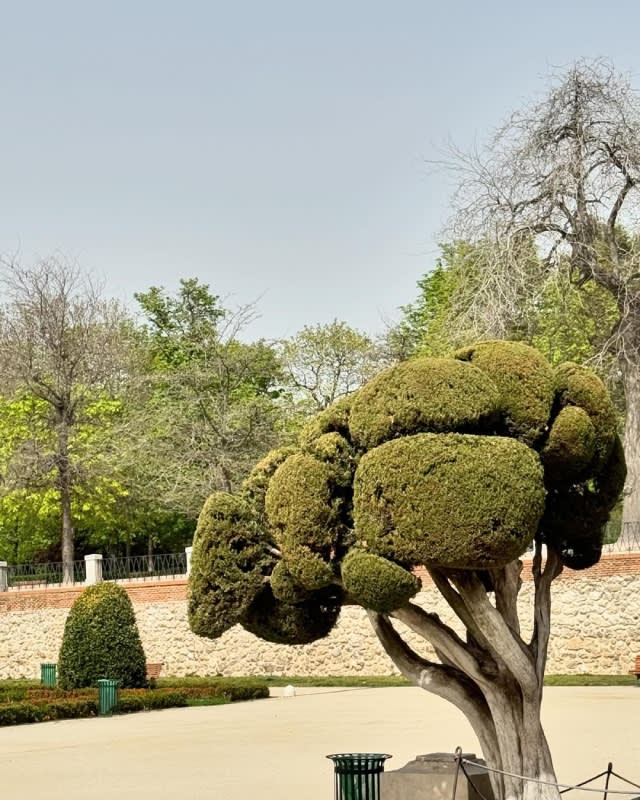 Hande Erçel descubrió el parque de El Retiro junto a sus amigas Mihre Mutlu y Casin Denizer