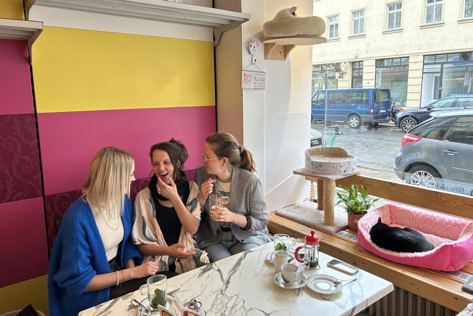 Das Strayz-Team im Katzencafè "Zur Mieze" in Berlin-Charlottenburg. - Copyright: NAK/ Gründerszene