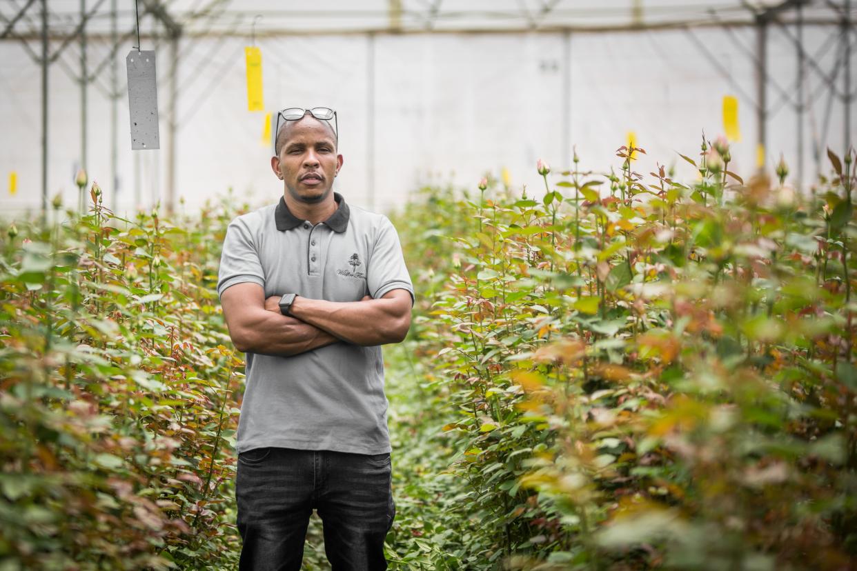 Patrick Mbugua, General Manager, Wildfire Flowers, Kenya stands among rose bushes