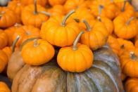 <p>Why leave all that hiding and seeking to Easter? Plant miniature pumpkins around the yard and challenge kids to see how many they can pick in a predetermined amount of time.</p>