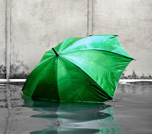 <span class="caption">Don't let the green naysayers drown you out. </span> <span class="attribution"><a class="link " href="https://www.shutterstock.com/image-photo/concept-green-umbrella-floating-on-flooded-479203771" rel="nofollow noopener" target="_blank" data-ylk="slk:Component/Shutterstock;elm:context_link;itc:0;sec:content-canvas">Component/Shutterstock</a></span>