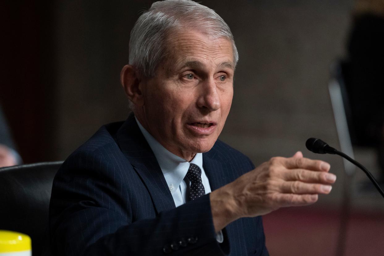 Dr. Anthony Fauci, director of the National Institute of Allergy and Infectious Diseases, testifies during a Senate committee hearing on Capitol Hill on Nov. 4.