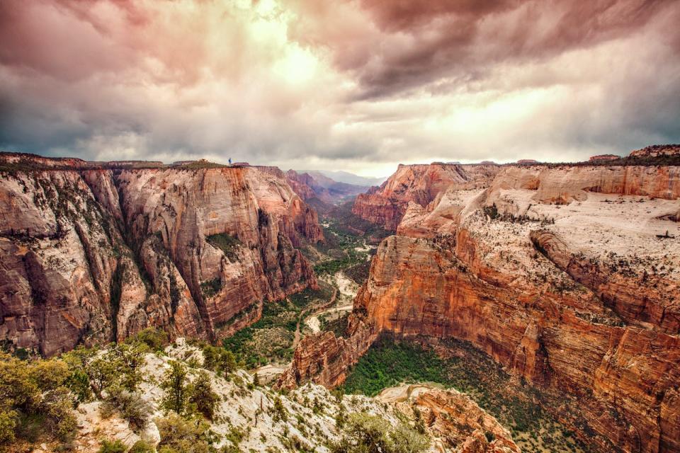 Zion National Park is in Utah.