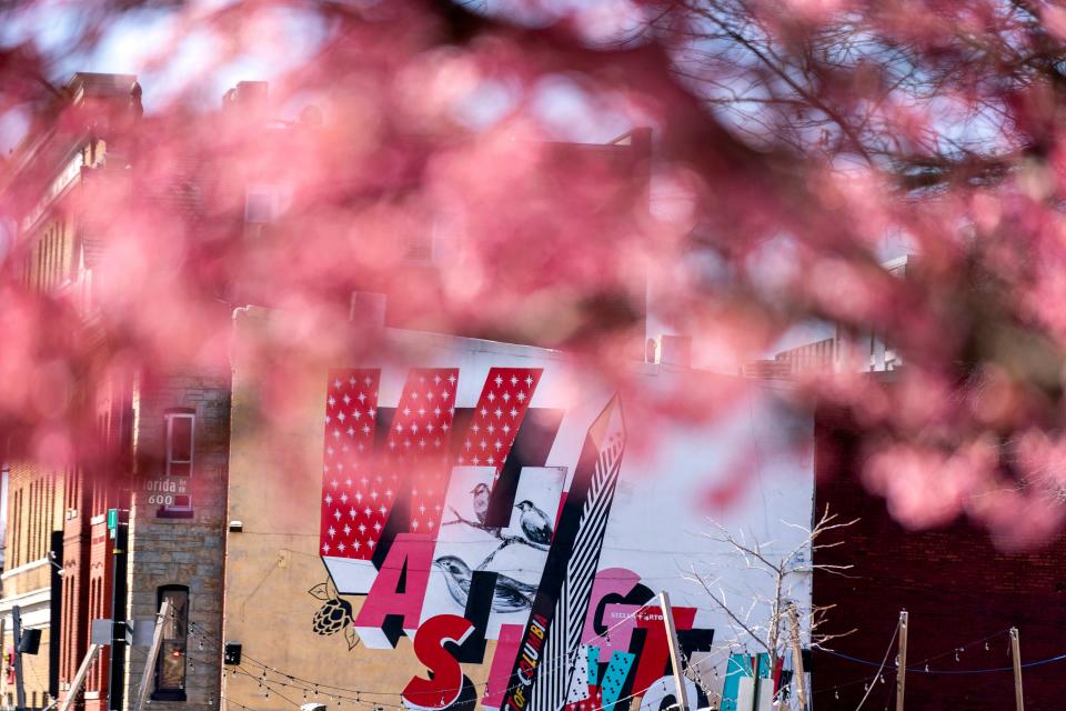 A Washington mural is visible through cherry blossoms in a neighborhood in Washington, Friday, March 11, 2022. The National Cherry Blossom Festival is returning with all its pageantry, hailed by organizers as the unofficial start of Washington’s re-emergence from the two years of pandemic lockdown. The iconic trees are predicted to reach peak bloom between March 22 and March 25, with a month of events and celebrations running from March 20 through April 17.  (AP Photo/Andrew Harnik)