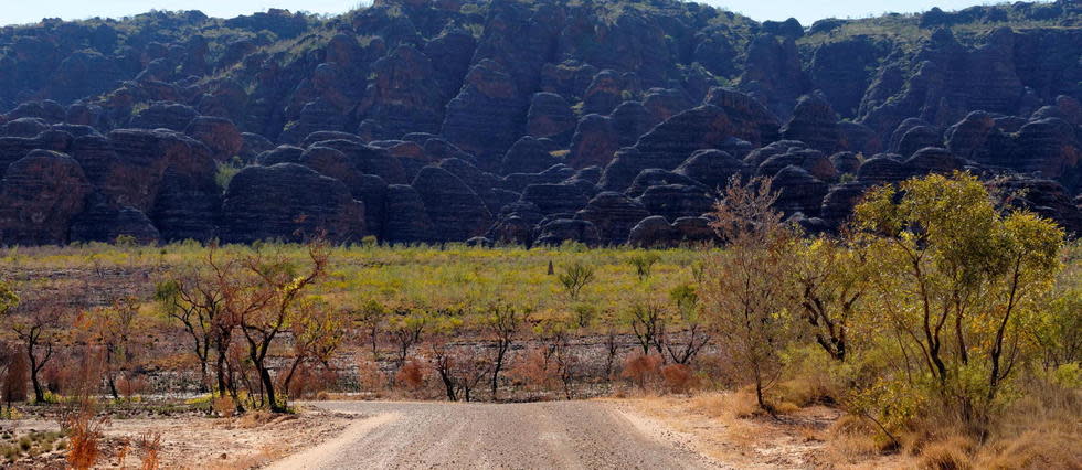 Un homme a survécu à 18 jours passés dans le bush australien. (Photo d'illustration)
