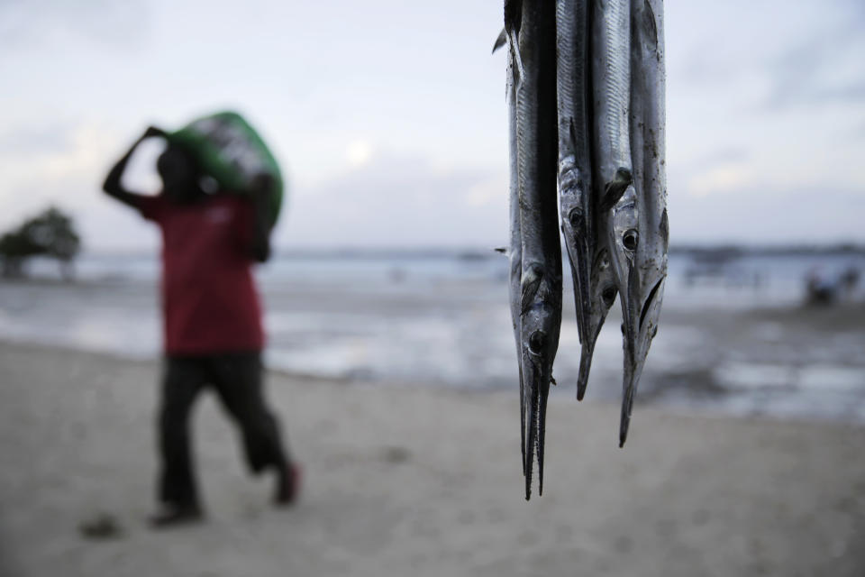 A fisherman walks, left, with his catch as needlefish hang at right at the Shimoni port, in Kwale county, Kenya, on Saturday, June 11, 2022. Artisanal fisheries on Kenya's coast say climate change, overfishing by large foreign vessels and a lack of other job opportunities for coastal communities is draining the Indian Ocean of its yellowfin tuna stocks. (AP Photo/Brian Inganga)