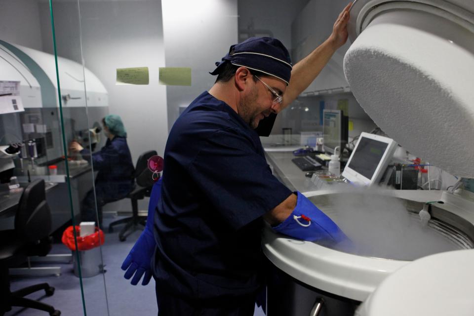 Cryopreservation, IVI Clinic in Valencia, Spain. Donating ovocytes. (Photo By BSIP/Universal Images Group via Getty Images)