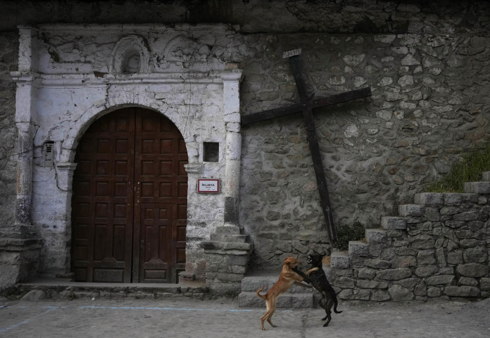 Dogs play in front of a church in Tupe, Peru, Tuesday, July 19, 2022. As Peru´s President Pedro Castillo marks the first anniversary of his presidency, his popularity has been decimated by his chaotic management style and corruption allegations, but in rural areas like Tupe, voters believe the fault for the executive crisis lies not only with Castillo, but with Congress, which has sought to remove him twice. (AP Photo/Martin Mejia)